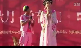 东北二人转视频,欢声笑语中的民俗风情